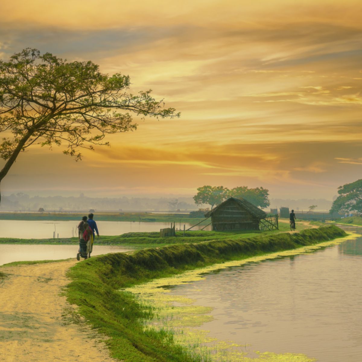 Transport in Bangladesh