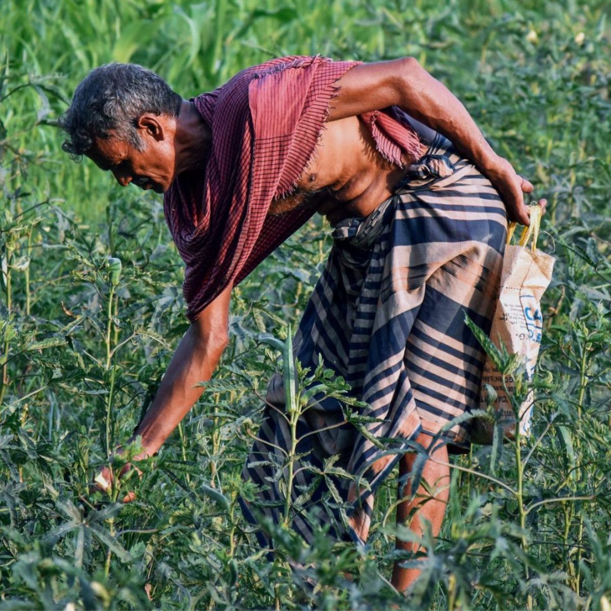 Climate Change and Agriculture