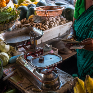 SAARC Good Agriculture Practices