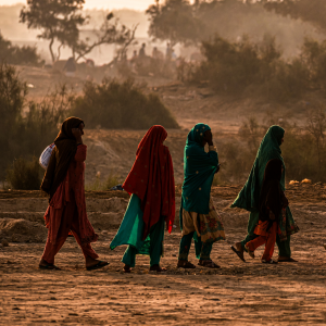 Women in Agriculture in Pakistan