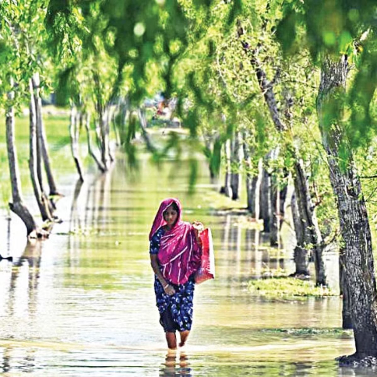 Climate News 8 February