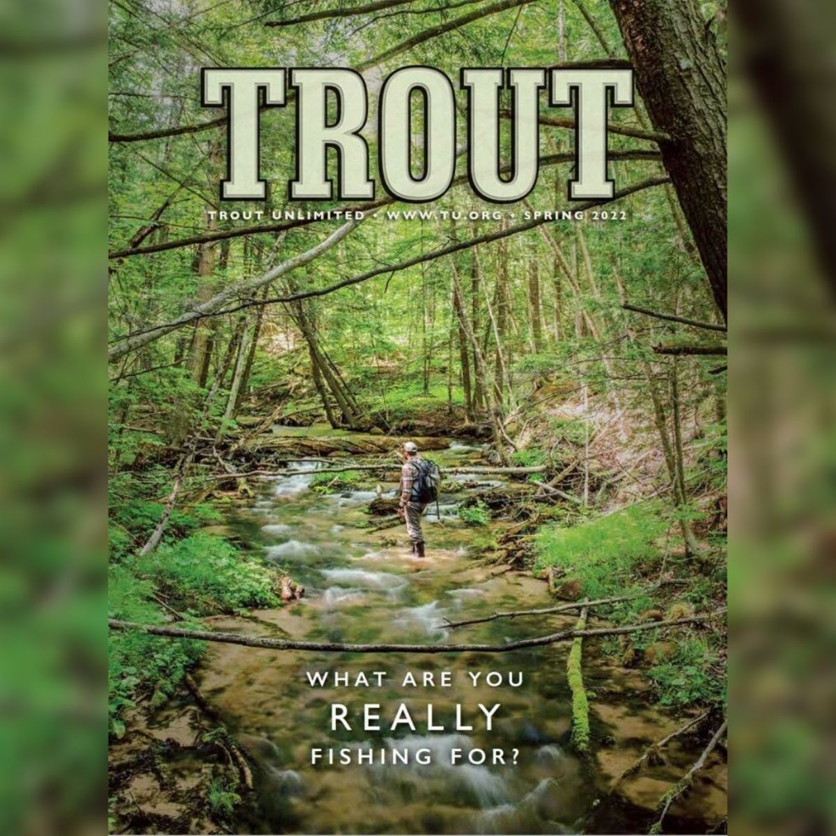 Trout Magazine River Campaign