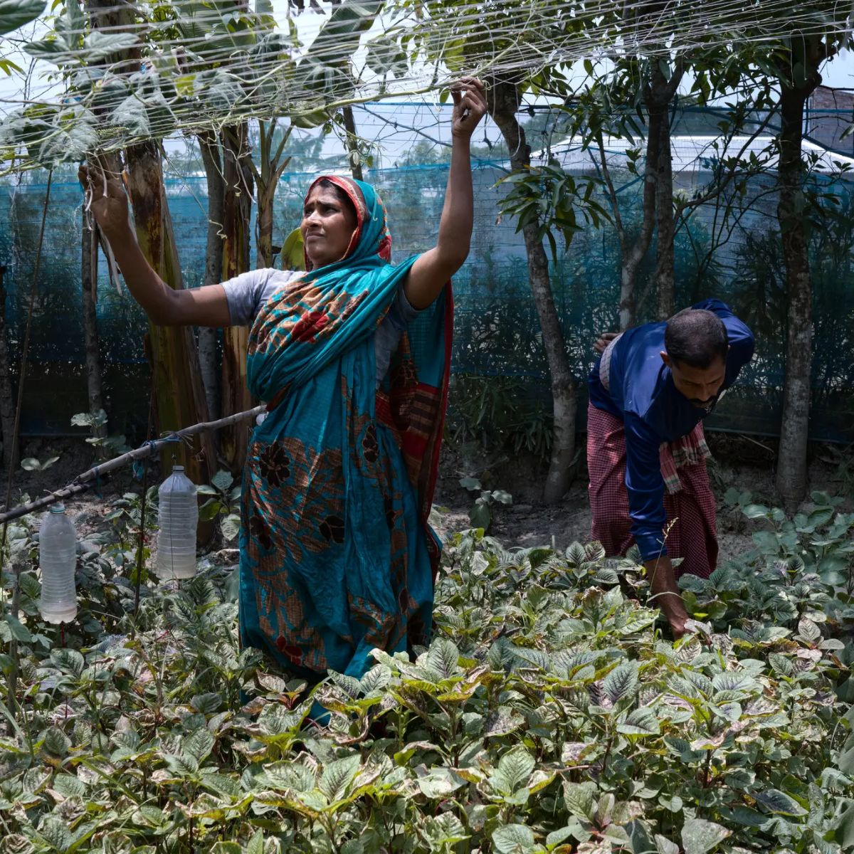 Bangladesh Water Crisis