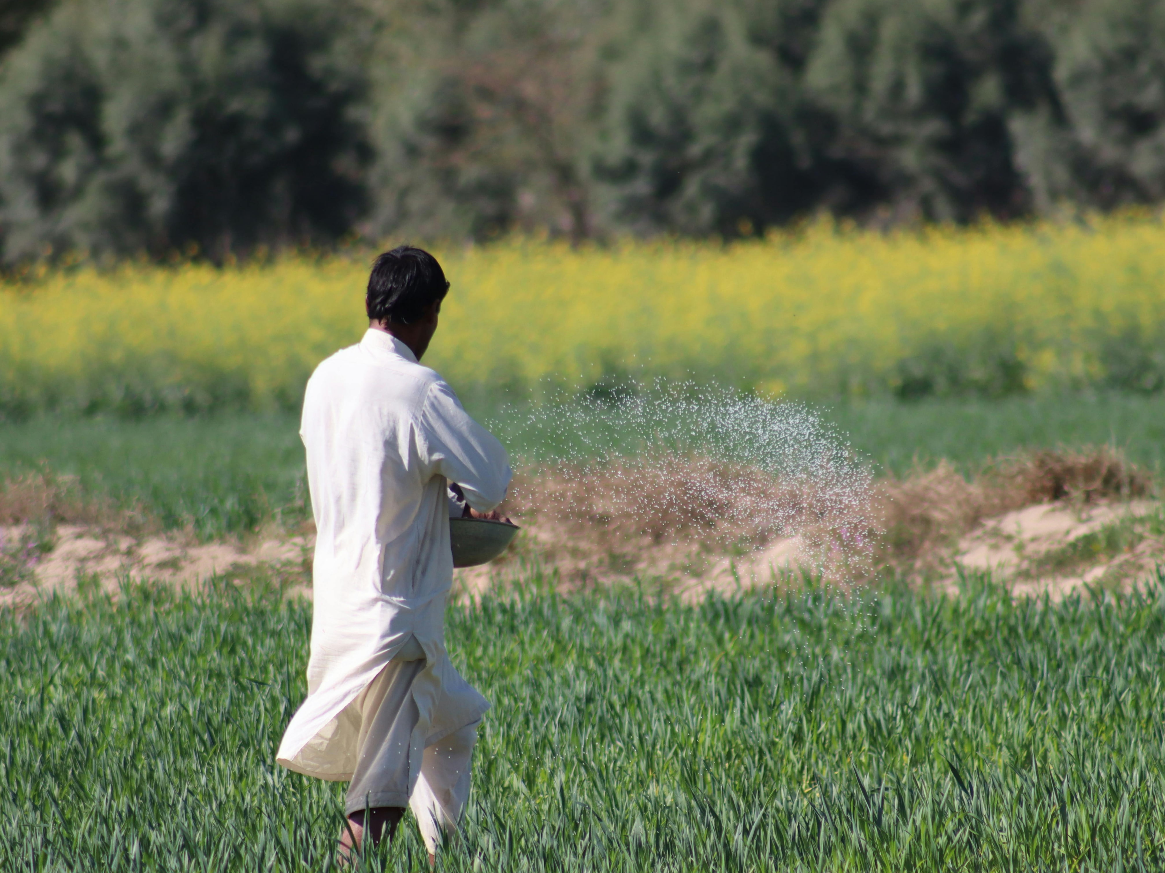 ICAS: Empowering Farmers through Citizen Science and Climate-Tech Innovation in Pakistan