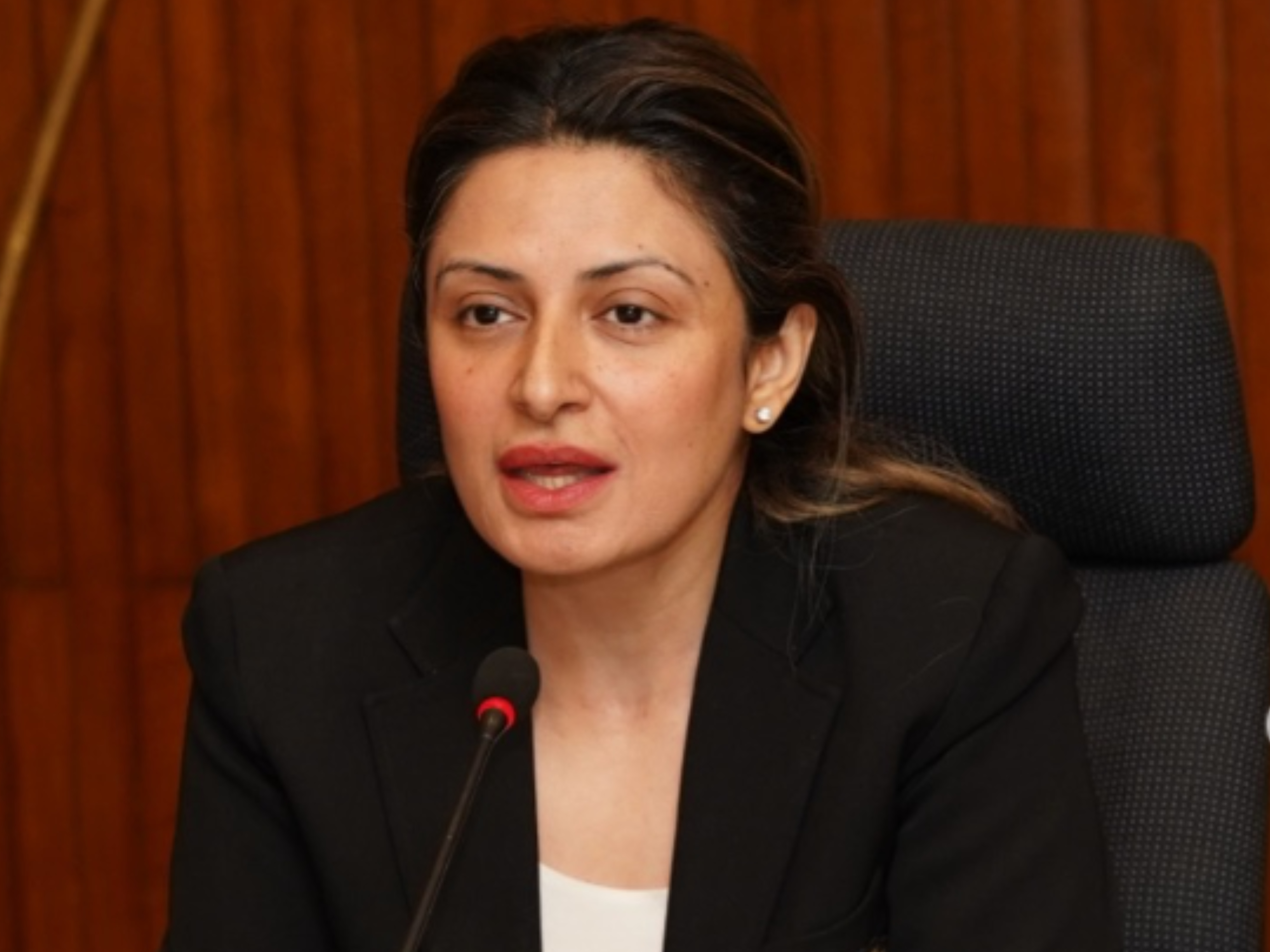 Leveraging Climate Finance  to Drive Innovation, Equity, and Resilience in Pakistan