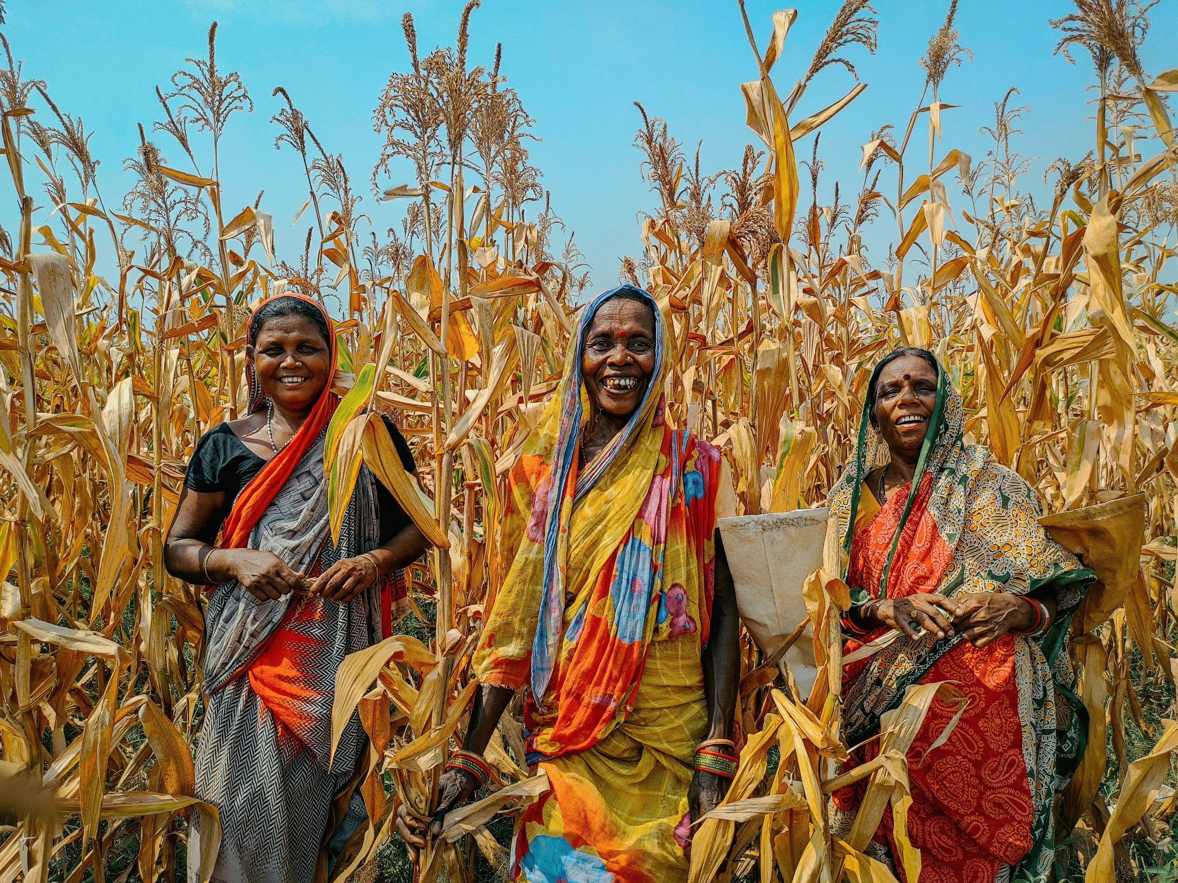 Driving Inclusive Climate Action: Advancing Gender and Social Equity  in South Asia